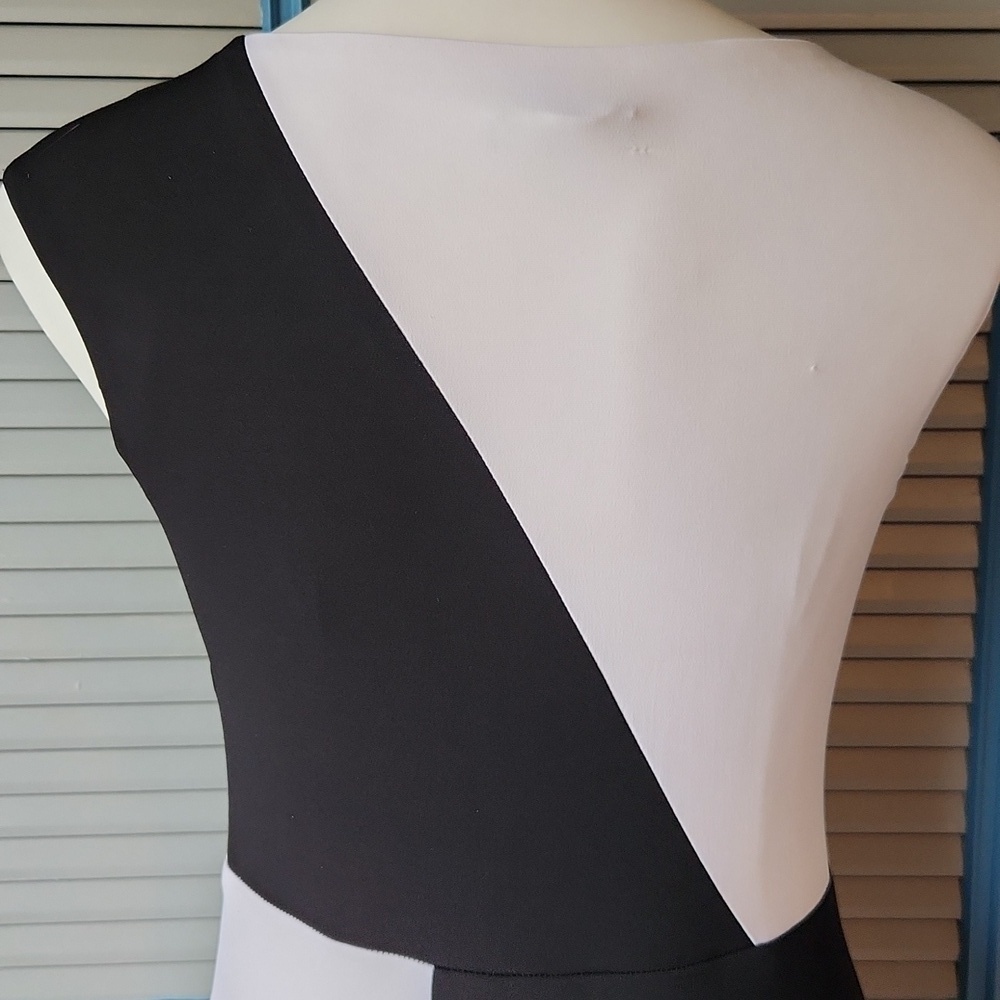Roz & Ali Black & White Colorblock Dress - Picture 7 of 11